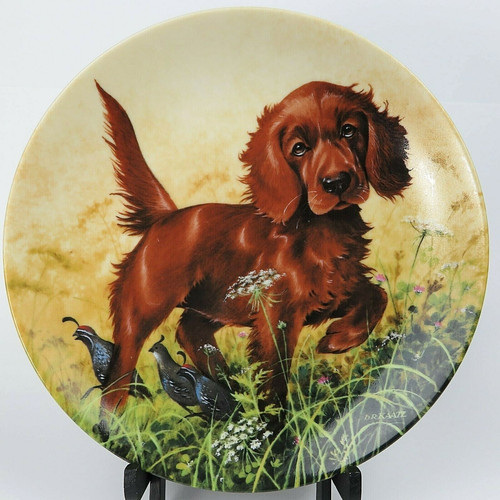 Piatto field puppies 1988 - piatto,