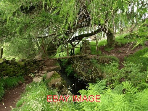 Photo stone footbridge - footbridge, one