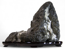 Suiseki pietra da vista bonsai