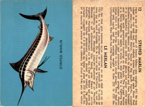 V339 parkhurst fish 1962 - v339-19, fish,