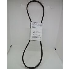 Cinghia Retromarcia Bertolini