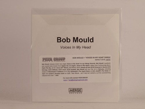 Bob mould voices - my, head