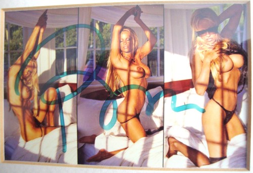 Pamela anderson piccola - anderson, in