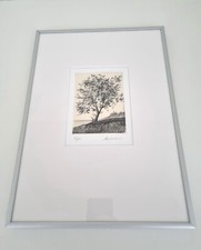 Incisione acquaforte firmata e numerata 37 75 con cornice in alluminio anni 2000