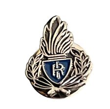 Pins Distintivo Polizia Penitenziaria Fiamma Prodotto Ufficiale Italiano Ascot A