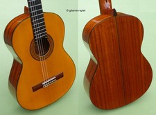 Chitarra da concerto 4/4