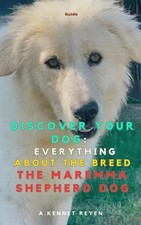 Discover your dog everything - your, dog: