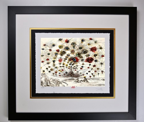 Argus pavone con cento - pavone,
