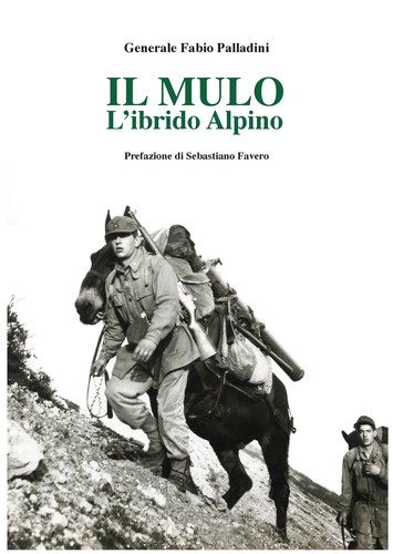 Libri palladini fabio il - libri,