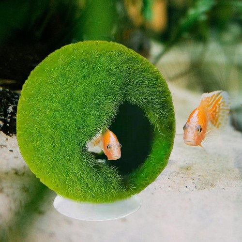 Rifugio per acquario con