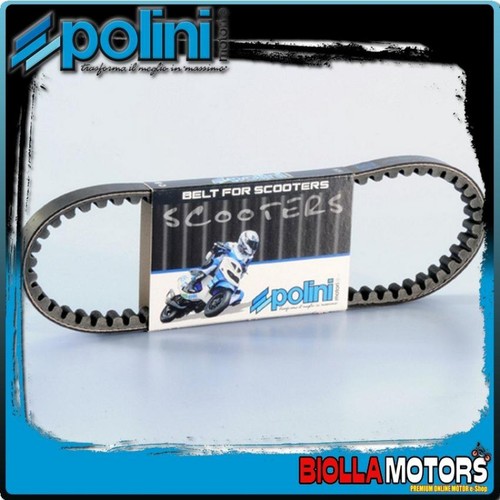 248 056 cinghia variatore - 248.056,