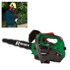 Motosega A Scoppio Da Potatura