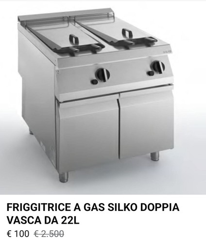 Friggitrice professionale - friggitrice,