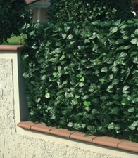 ARELLA SEMPREVERDE LAURO 1X3 M