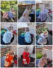 2 Vestiti per cane o gatto