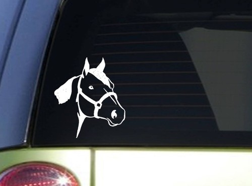 Adesivo quarter horse - quarter, *i843*