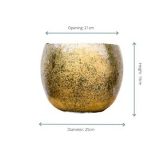 Ellen ottone - 25x19