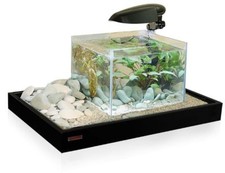 Acquario completo Wave Zen