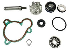 AA00833 Kit Revisione Pompa