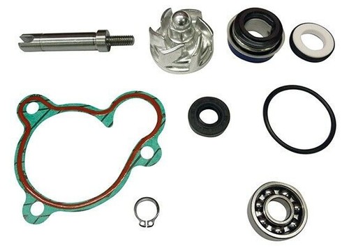 Aa00833 kit revisione pompa - kit,
