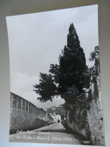 20166 savona provincia calice - 20166),