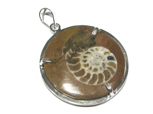 Ciondolo ammonite fossile - ciondolo,