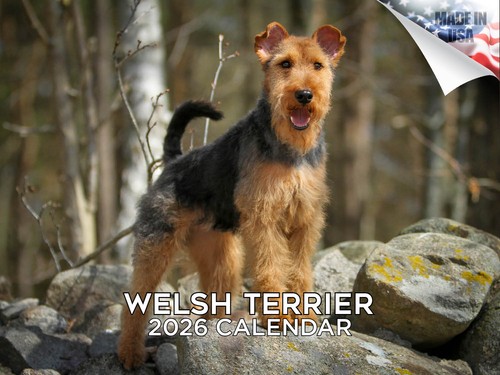 Calendario welsh terrier 2026 - calendario,