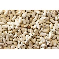 Cartamo Semi Per Uccelli 700gr Cibo Per Ornitologia Cartamo