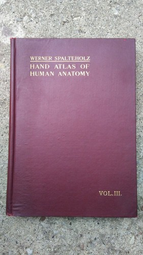 1923 hand atlas human - hand,