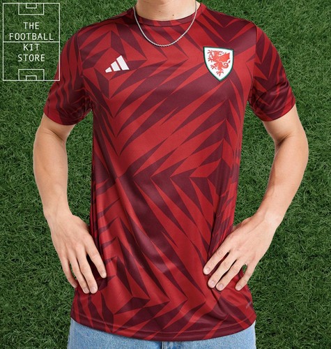 Wales pre match shirt - pre, uomo
