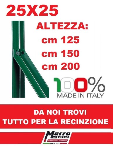 Saetta verde l palo - pz,