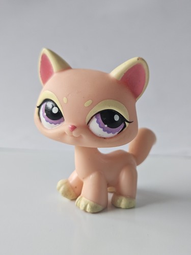 Lps 1265 chat main - lps,