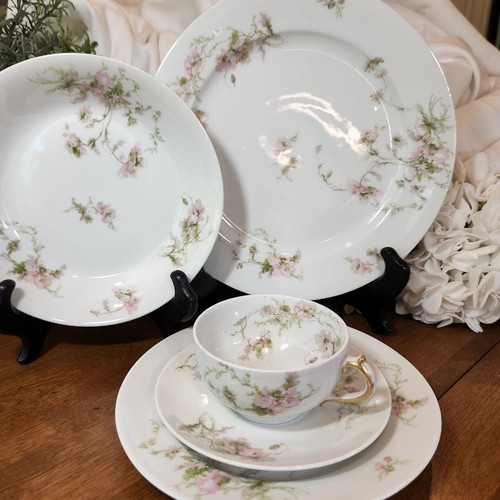 Haviland poppies schleiger - haviland,