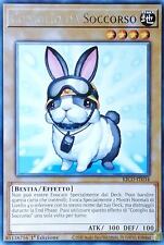 Coniglio da Soccorso - Rara -