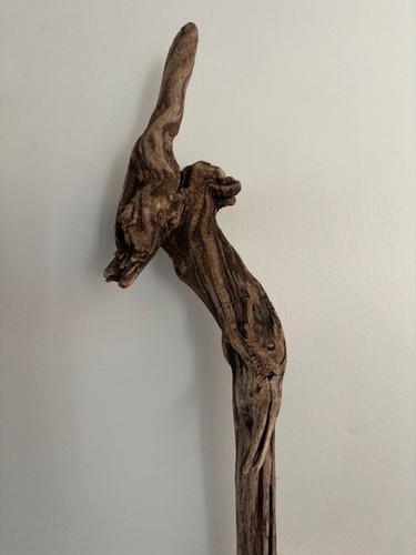 Ramo legno alla deriva - ramo,
