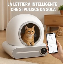 Lettiera Per Gatti