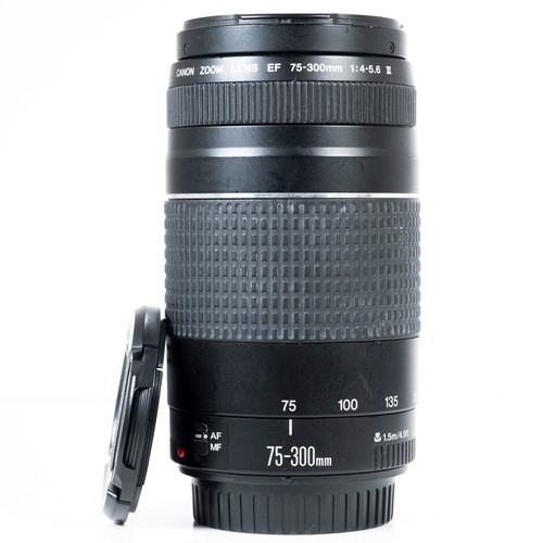 Canon 300 0 - mm, f/4.0-5.6