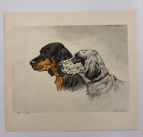 Stampa antica setter - (,