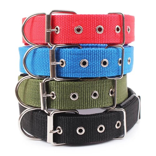 Collare per cani - , nylon