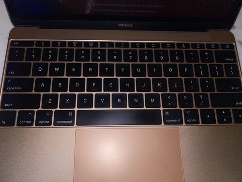 Mint 2017 apple macbook - 12",