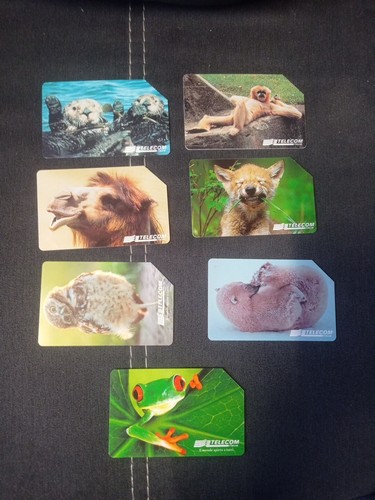 Animali per modo dire - animali,
