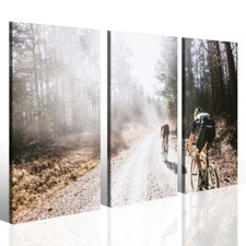 Quadri moderni ciclismo - ciclismo,