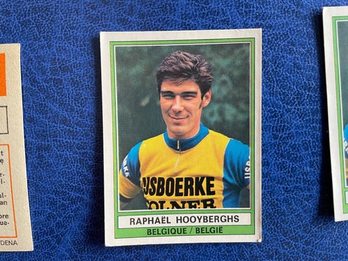 Panini sprint usboerke - panini,