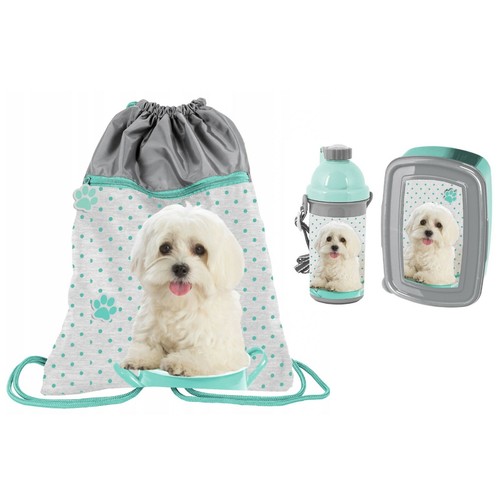 Cane bianco maltese set sacca - cane,