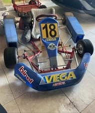 Go Kart Birel 100cc