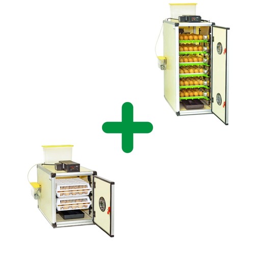 240 eggs incubator - eggs, kit