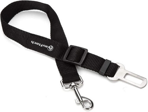 Cani guinzaglio cintura - cani,