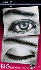 ENORME OCCHIO SFARFALLIO GIGANTE 28,5 x 22,5 CM USA 1960 LENTECOLARE IMMAGINE OSCILLANTE VARI VUE