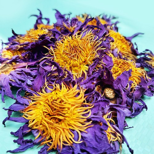 Fiore loto blu disidratato - di,