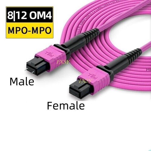 Lotto 100m mpo maschio - maschio, a